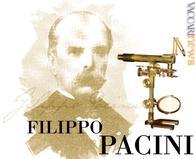 L'anatomista ed istologo Filippo Pacini