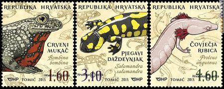 La serie croata dedicata agli anfibi; nell’ultimo è citato il proteo