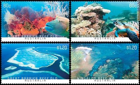 Barriere coralline: quattro esemplari per due aree fra le più note