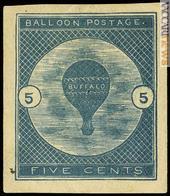 In vendita anche un esemplare del “Buffalo balloon”