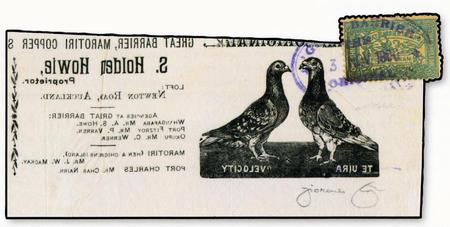 Tra i reperti più inconsueti, un messaggio viaggiato con i piccioni. Il servizio venne attivato in Nuova Zelanda nel 1900 e prevedeva affrancature specifiche. Il reperto è stato venduto a 2mila euro