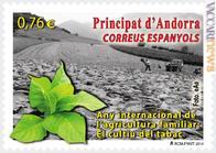 La coltivazione del tabacco sui Pirenei