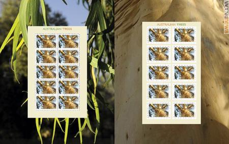 Lo “special stamp pack” propone il taglio da 0,70 nelle due versioni: dieci pezzi gommati su carta ed altrettanti, autoadesivi, che impiegano il legno
