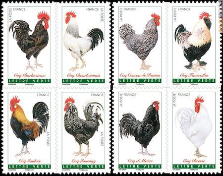 Otto dei dodici francobolli dedicati alle razze di galli nazionali 