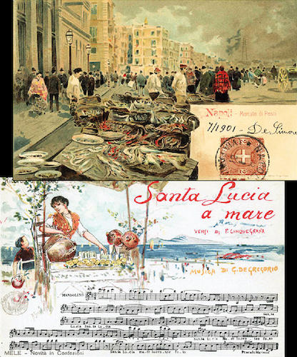 Nel volume sono rappresentate in formato reale 660 cartoline riguardanti Napoli