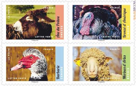 Quattro dei dodici francobolli, ora a contenuto fotografico