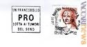 Il francobollo usato a Torino
