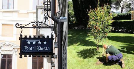 Ancora chiuso il Posta di Reggio Emilia; a Perugia, l’iniziativa simbolica del Posta Donnini: un nuovo albero per testimoniare quanto accaduto