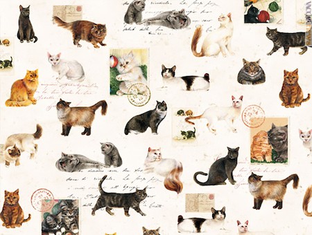 Gatti, “francobolli” e…
