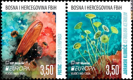 È costituita da due francobolli l’emissione di Bosnia ed Erzegovina Croata; qui la coppia da foglio