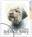 Il francobollo svedese dedicato al Lagotto romagnolo