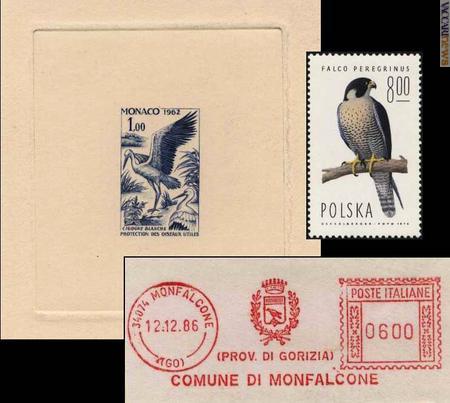 Il Museo postale e telegrafico della Mitteleuropa propone, fino al 6 ottobre, la collezione “Uccelli nella toponomastica italiana”